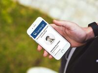 Identificador QR para mascotas – vista 2