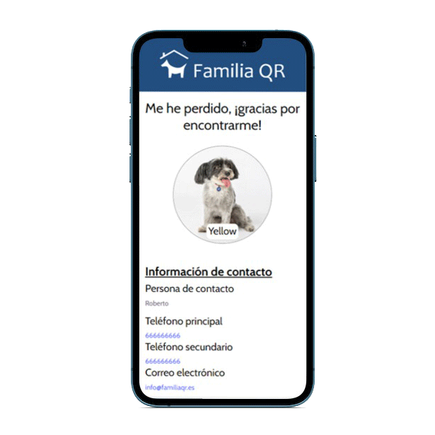 Vista previa del identificador QR